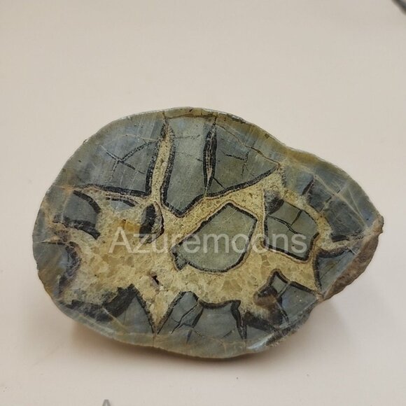 Septarian Nodule Slice Slab Stone Rock Mineral Utah Specimen Yellow Crystals - Picture 1 of 8